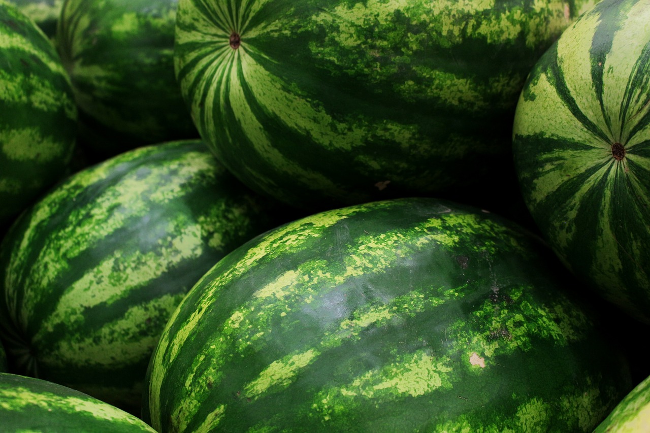 watermelons, fruits, green, healthy, food, fresh, harvest, produce, ripe, organic, fresh produce, watermelons, watermelons, fruits, fruits, green, green, green, green, green, food, food, food
